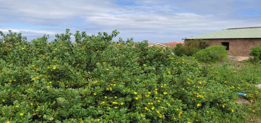 0 Bedroom Property for Sale in Bluewater Bay Eastern Cape